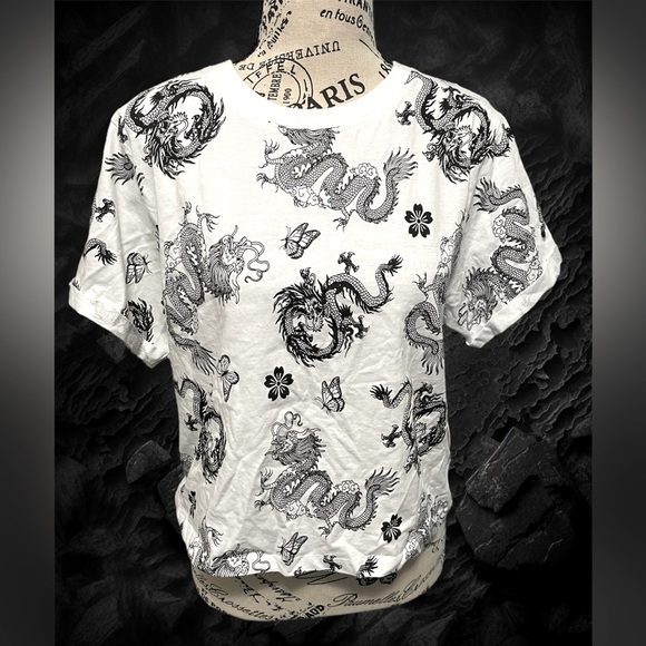 Vibe N’ Tops - 🔥 Dragon cropped shirt 🔥